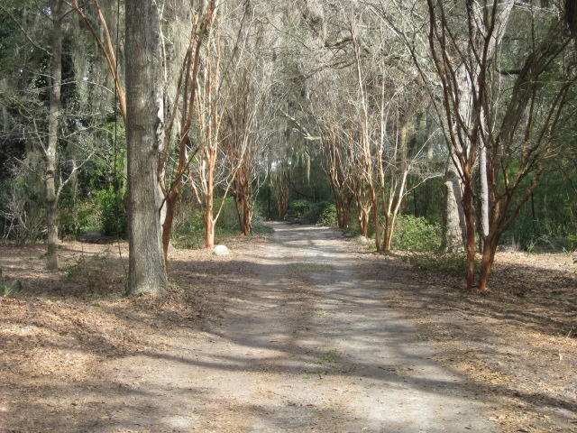 8449 Palmetto Pointe Road Edisto Island, SC 29438 - Photo 61 of 70 8449 Pal Pt (37)