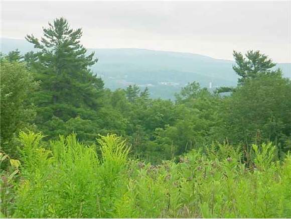 1263 Dothan Road Hartford, VT 05001 - Photo 1 of 5 Gallery Image 1