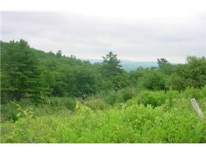 1263 Dothan Road Hartford, VT 05001 - Photo 4 of 5 Gallery Image 4