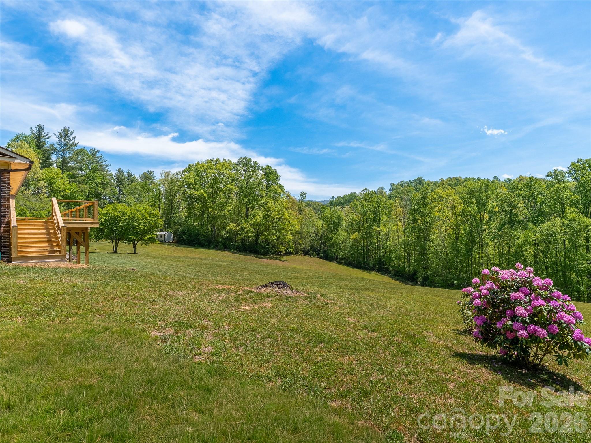 195 Red Bird Road Spruce Pine, NC 28777 - Photo 39 of 48