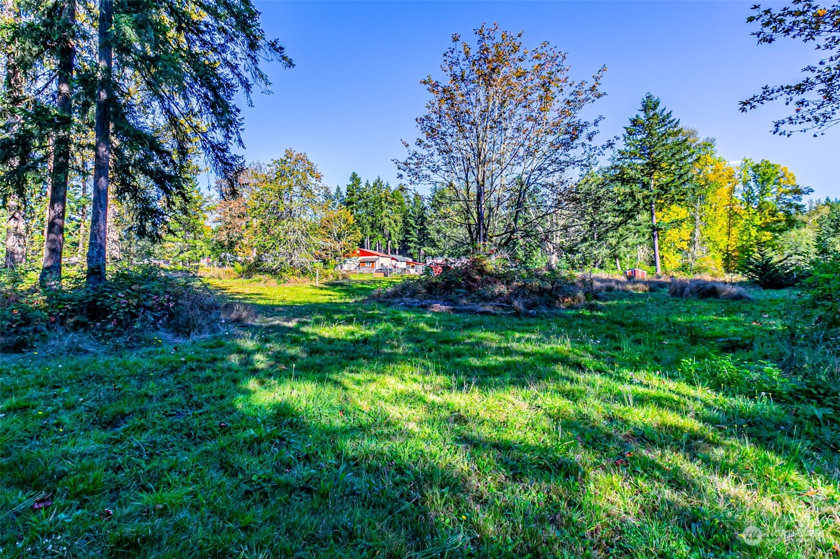 30314 Orville Road East Graham, WA 98338 - Photo 30 of 35 Gallery Image 30