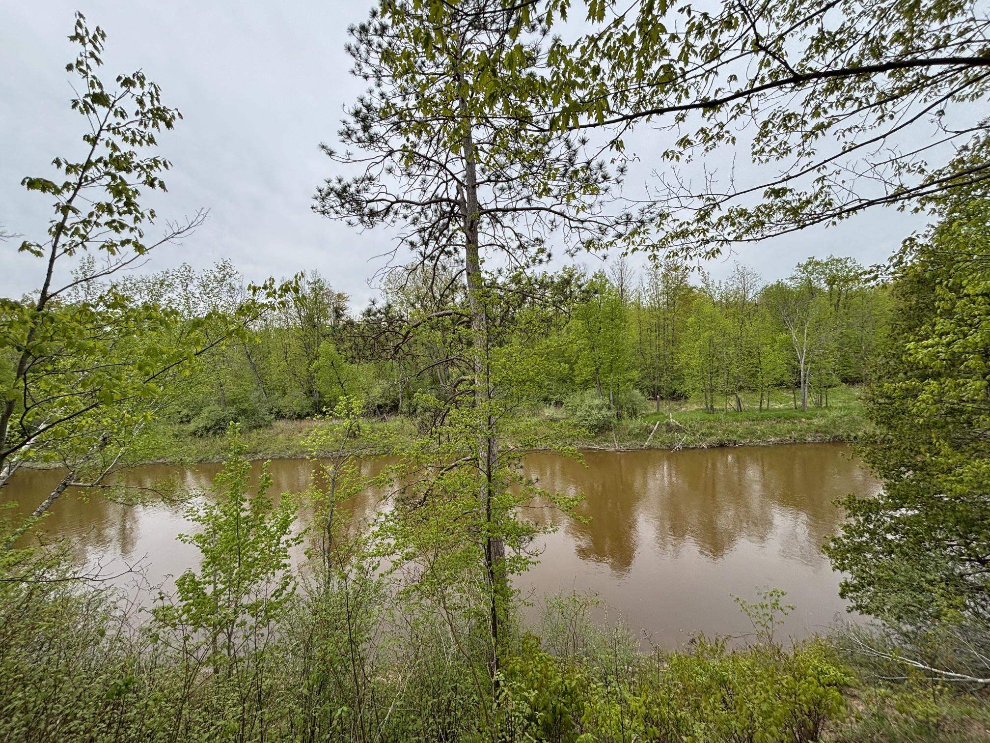 1240 Birch Ridge Road Gladwin, MI 48624 - Photo 4 of 41