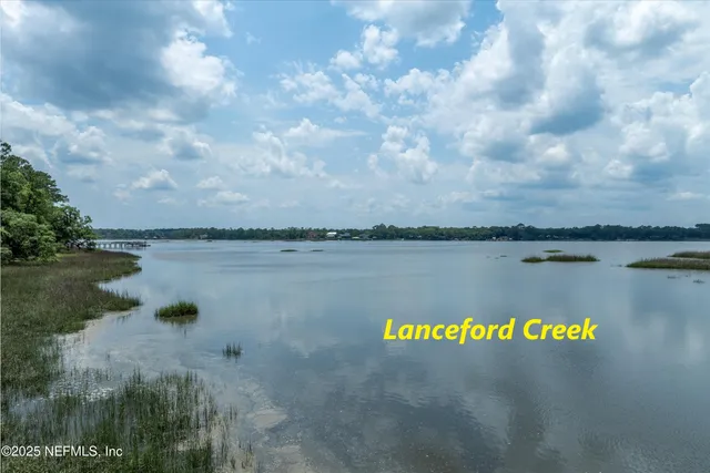 a view of dirt yard with a large tree