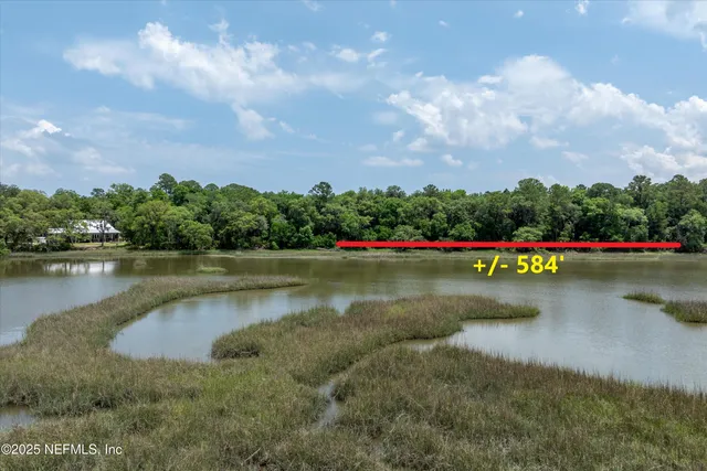 a view of a yard with large trees