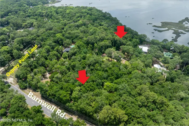 a view of a tree in a yard