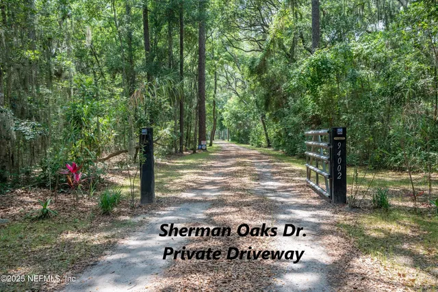 a view of a yard with plants and large trees