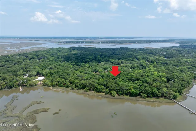 a view of a yard with large trees