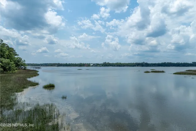 a view of a yard with plants and trees