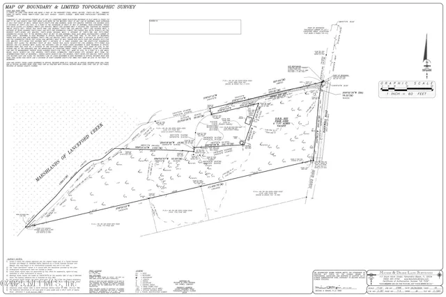 a view of a tree in a yard