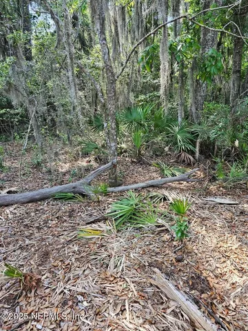 $1,900,000 | 0 Barnwell Road, Fernandina Beach, FL 32034