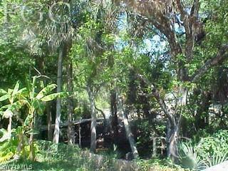 22971 Tuckahoe Road Alva, FL 33920 - Photo 3 of 4 a backyard of a house with lots of trees