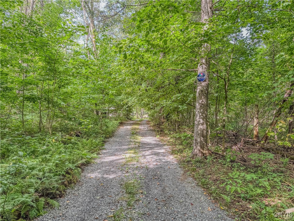 672 Pinckney Road Pinckney, NY 13626 - Photo 50 of 50