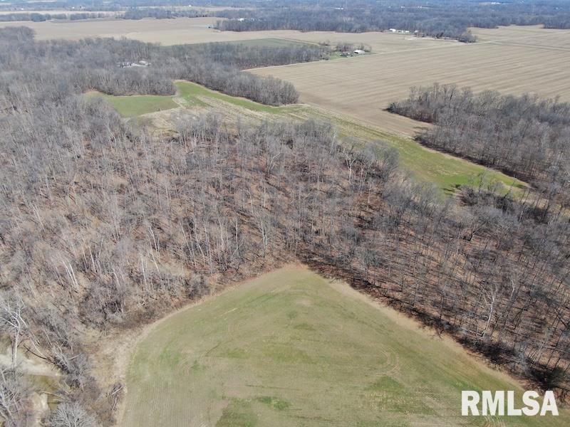 East 1950th Road Dennison, IL 62423 - Photo 13 of 79