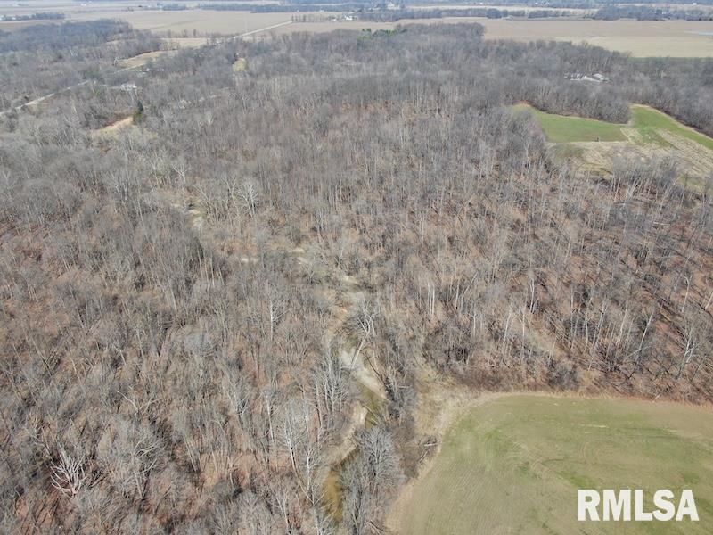 East 1950th Road Dennison, IL 62423 - Photo 14 of 79