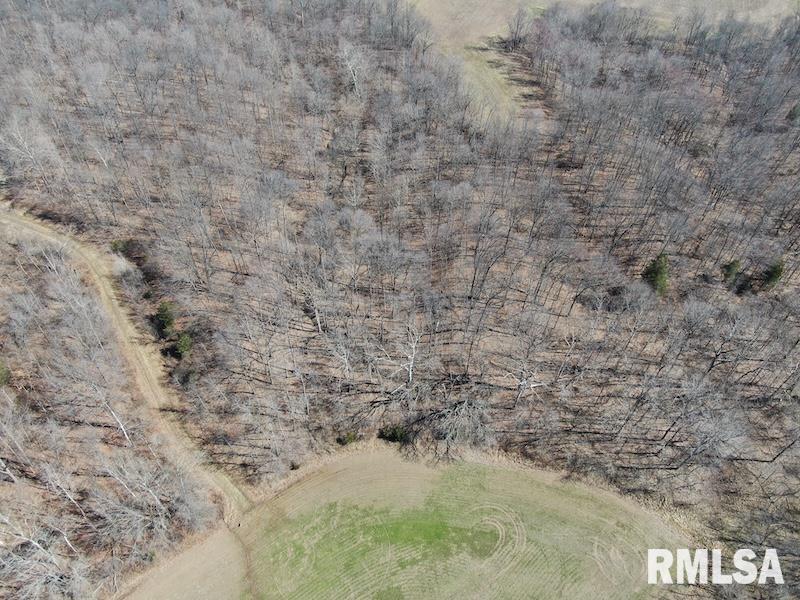 East 1950th Road Dennison, IL 62423 - Photo 16 of 79