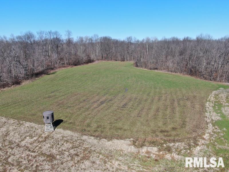 East 1950th Road Dennison, IL 62423 - Photo 18 of 79