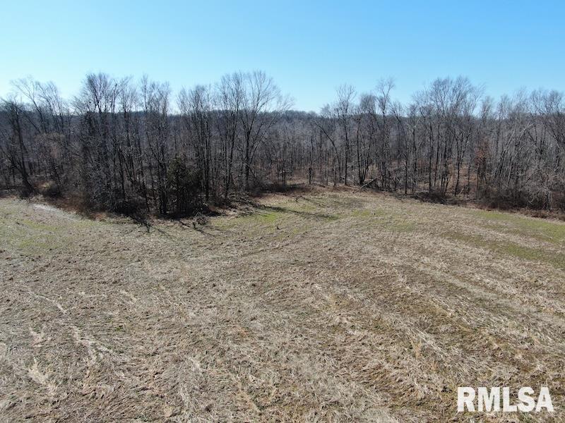 East 1950th Road Dennison, IL 62423 - Photo 20 of 79