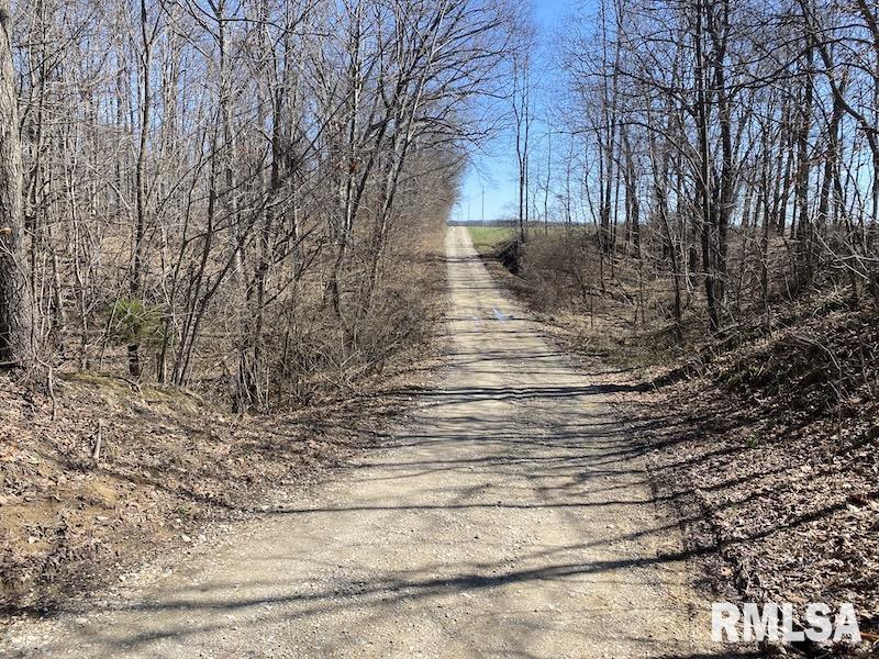 East 1950th Road Dennison, IL 62423 - Photo 22 of 79