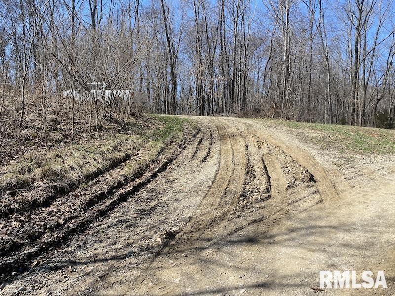 East 1950th Road Dennison, IL 62423 - Photo 23 of 79