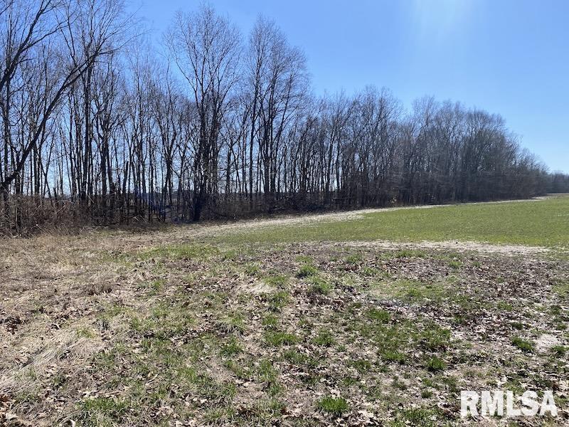 East 1950th Road Dennison, IL 62423 - Photo 25 of 79