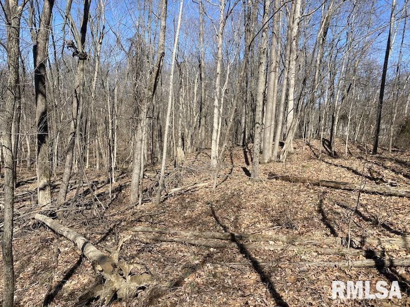 East 1950th Road Dennison, IL 62423 - Photo 26 of 79