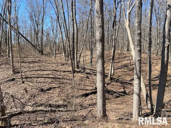 $540,000 | East 1950th Road, Dennison, IL 62423