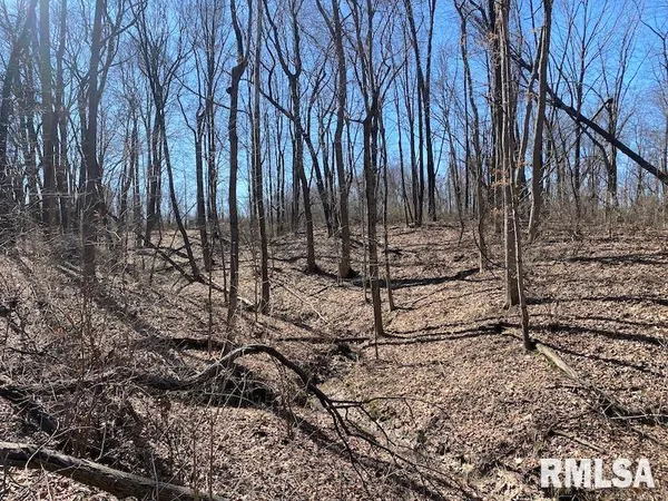 $540,000 | East 1950th Road, Dennison, IL 62423