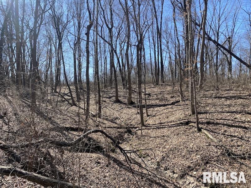 East 1950th Road Dennison, IL 62423 - Photo 28 of 79