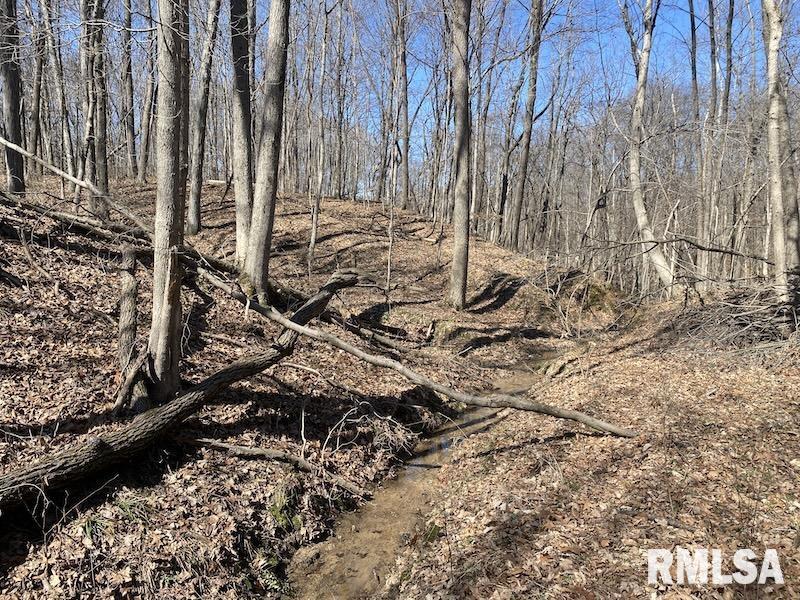 East 1950th Road Dennison, IL 62423 - Photo 29 of 79