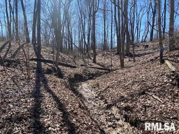 $540,000 | East 1950th Road, Dennison, IL 62423