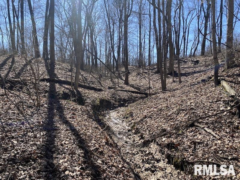 East 1950th Road Dennison, IL 62423 - Photo 30 of 79
