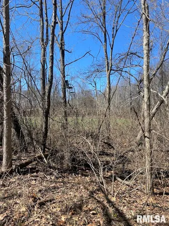 $540,000 | East 1950th Road, Dennison, IL 62423