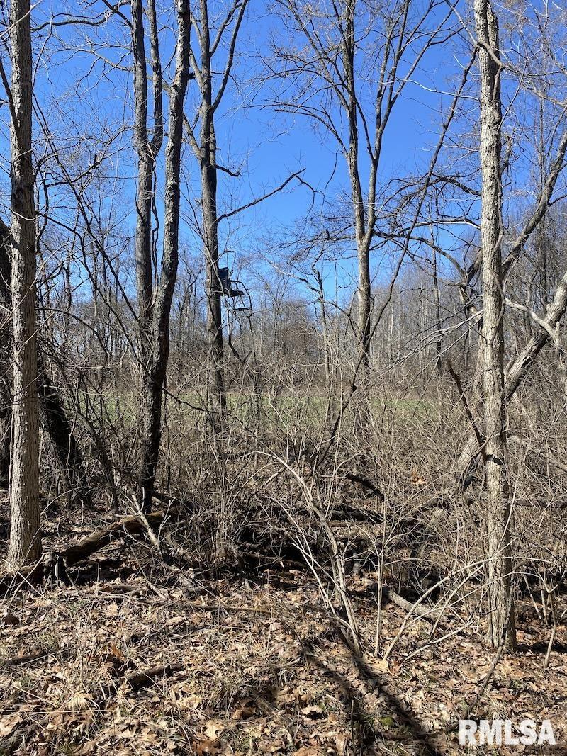 East 1950th Road Dennison, IL 62423 - Photo 31 of 79