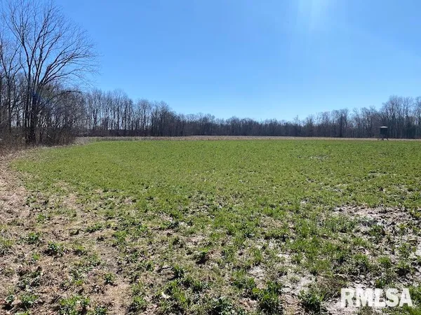 $540,000 | East 1950th Road, Dennison, IL 62423