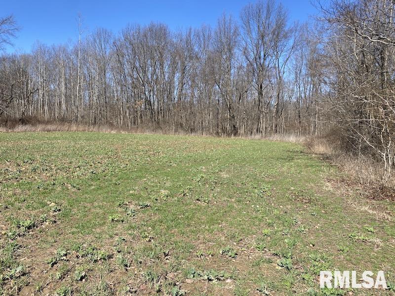 East 1950th Road Dennison, IL 62423 - Photo 34 of 79