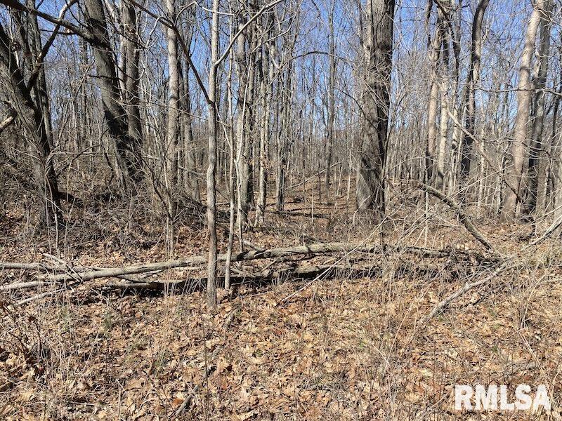 East 1950th Road Dennison, IL 62423 - Photo 37 of 79