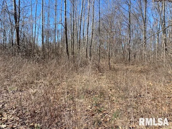 $540,000 | East 1950th Road, Dennison, IL 62423