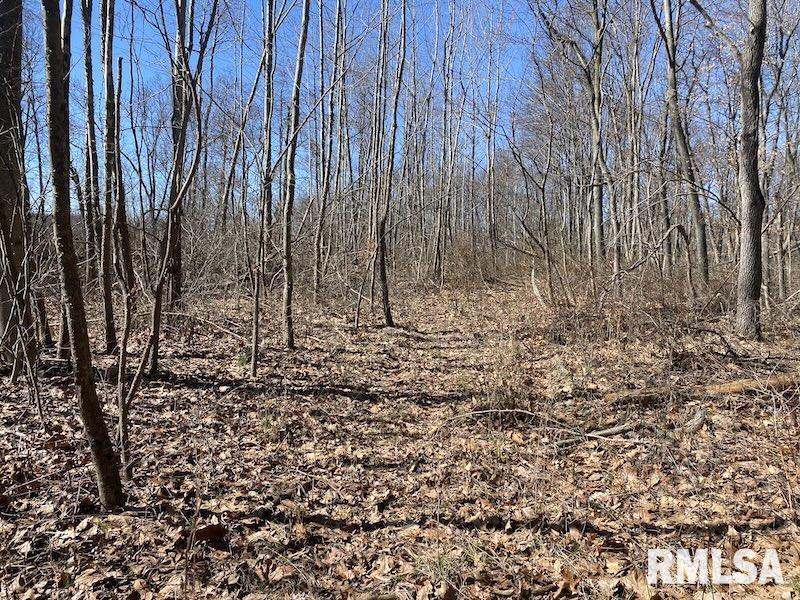 East 1950th Road Dennison, IL 62423 - Photo 39 of 79