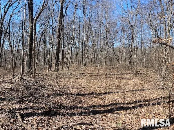 $540,000 | East 1950th Road, Dennison, IL 62423
