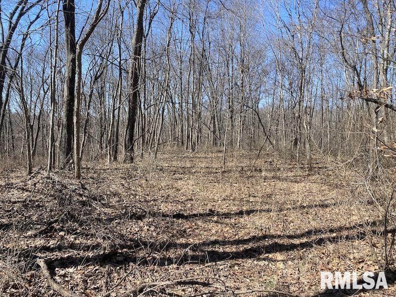 East 1950th Road Dennison, IL 62423 - Photo 40 of 79