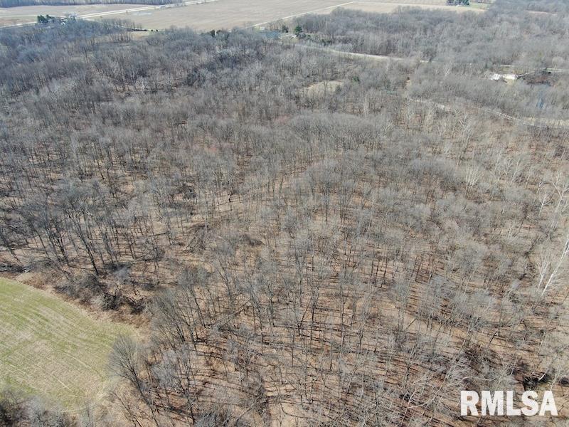 East 1950th Road Dennison, IL 62423 - Photo 4 of 79