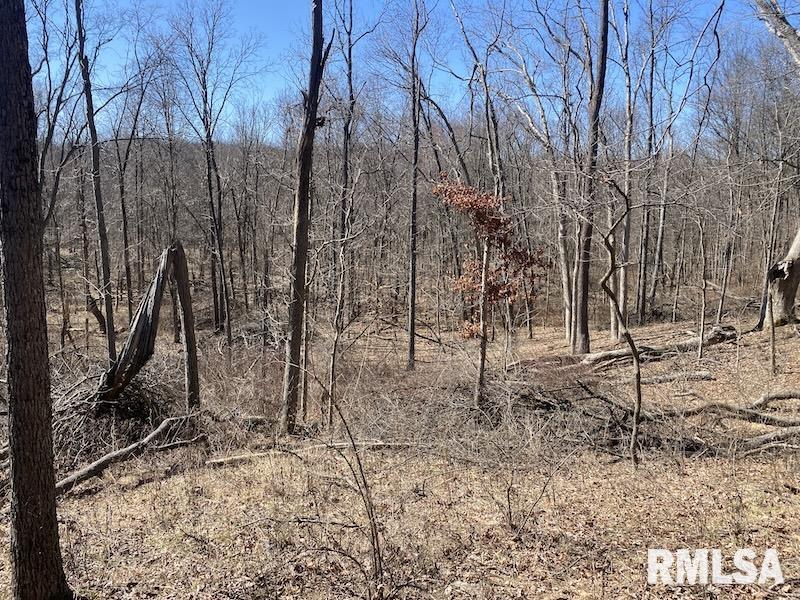 East 1950th Road Dennison, IL 62423 - Photo 41 of 79