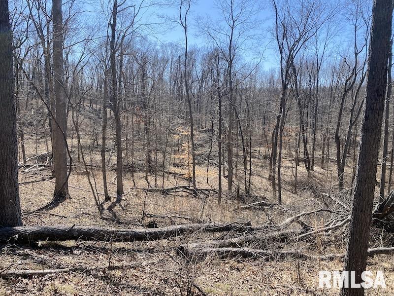 East 1950th Road Dennison, IL 62423 - Photo 42 of 79