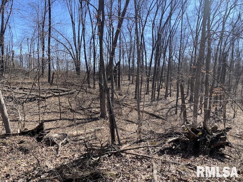 East 1950th Road Dennison, IL 62423 - Photo 43 of 79