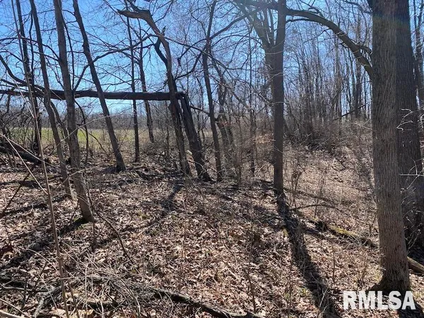 $540,000 | East 1950th Road, Dennison, IL 62423