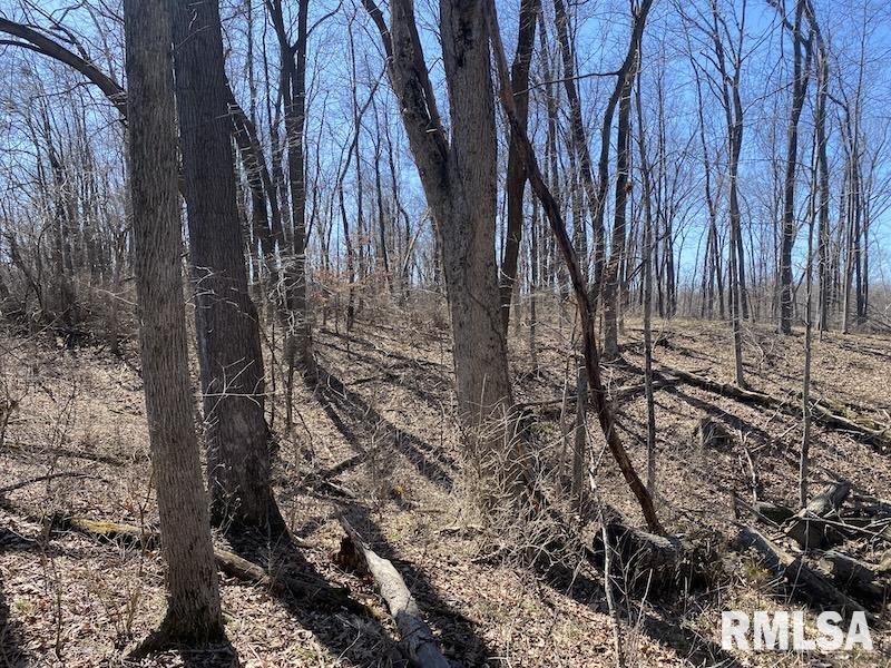 East 1950th Road Dennison, IL 62423 - Photo 45 of 79