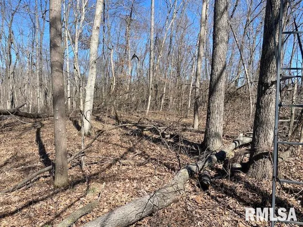 $540,000 | East 1950th Road, Dennison, IL 62423