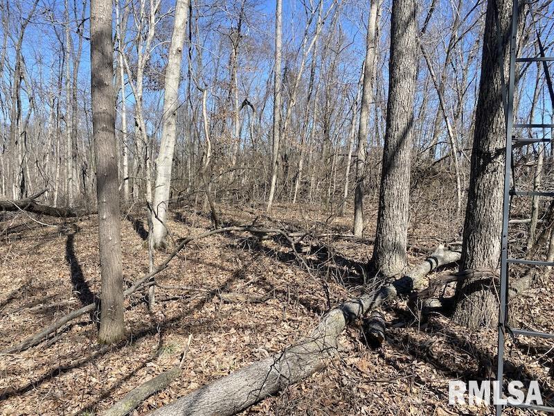 East 1950th Road Dennison, IL 62423 - Photo 47 of 79