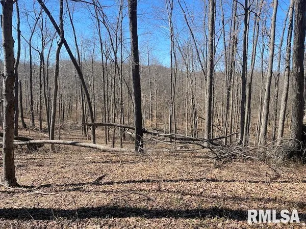 $540,000 | East 1950th Road, Dennison, IL 62423