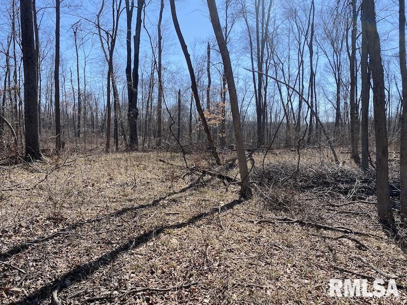 East 1950th Road Dennison, IL 62423 - Photo 49 of 79